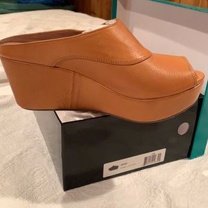 Chocolate Blu Wind Platform